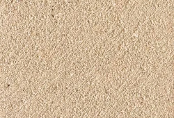 Beige 16.01